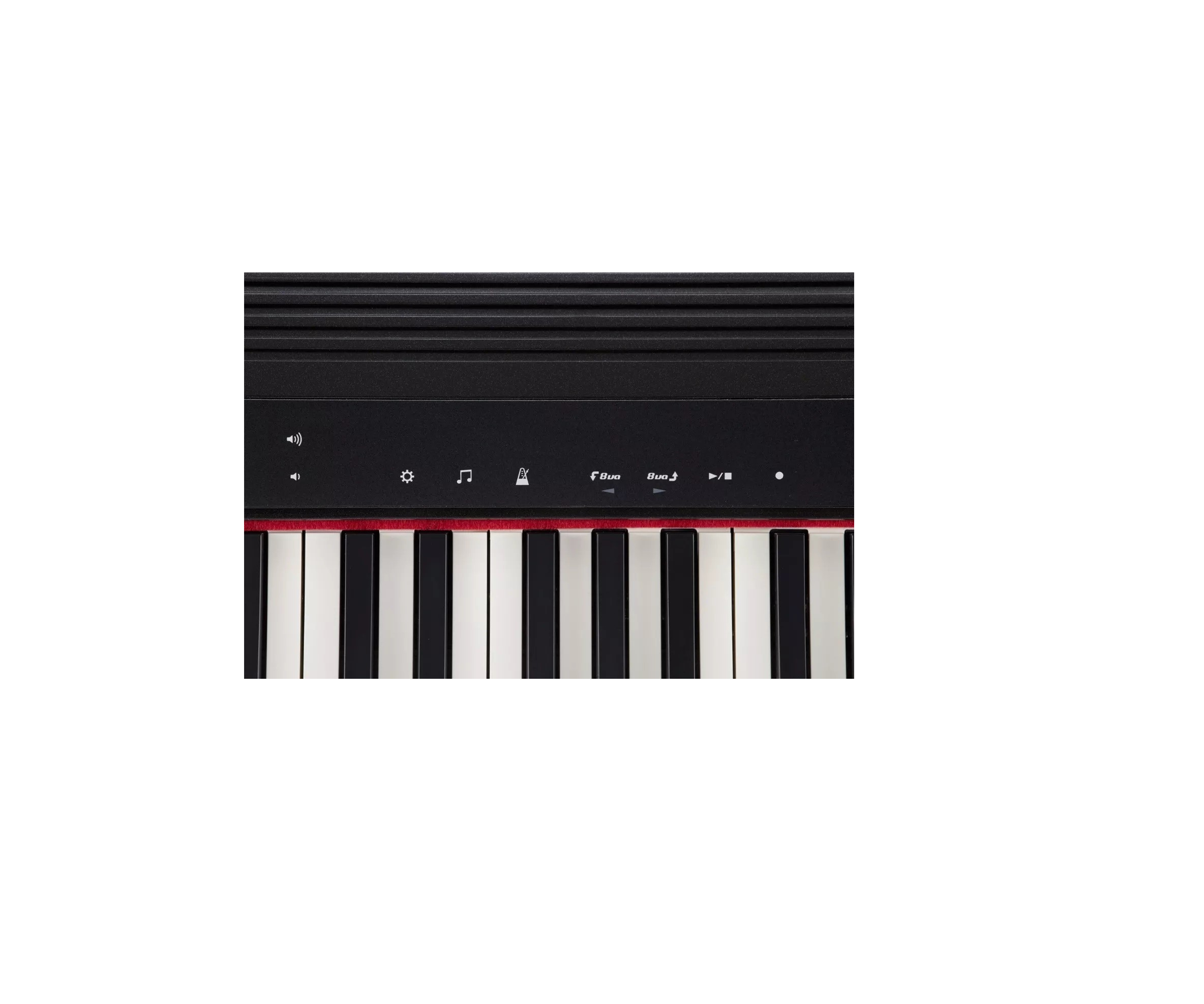 Roland Go Piano 61 Teclas, Teclado